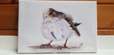 Vogel Spatz Sperling Aquarell Watercolor Tier sparrow bird Bild Druck auf Leinwand Keilrahmen 30 x 20 cm