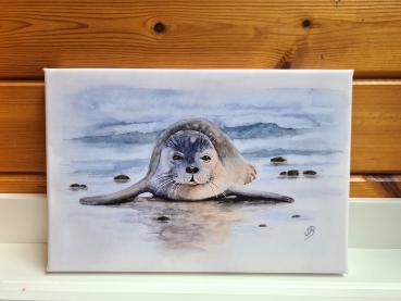 Seehund Robbe Heuler Kegelrobbe DK11Aquarell Watercolor Tier Bild Druck auf Leinwand Keilrahmen 30 x 20 cm