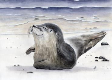 Aquarell DIN A4 Bild Robbe glücklicher Seehund Heuler 21 x 30 cm Kunstdruck