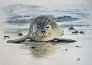 Aquarell DIN A5 Bild Aquarelldruck Seehund Robbe Strand Wellen Meer