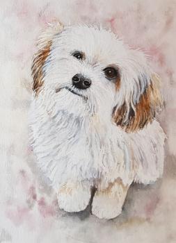 Watercolor picture dog animal 24 x 32 cm original signed
