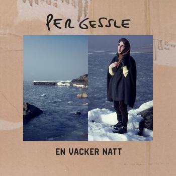 Per Gessle (Roxette) - En Vacker Natt  - VINYL LP - 2017 NEU