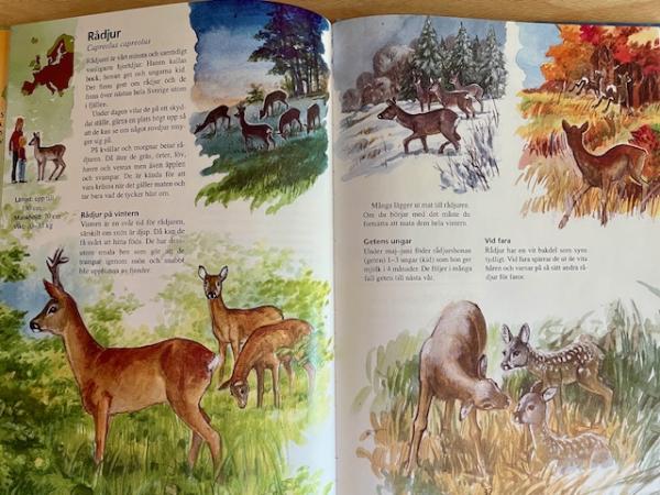 Book SWEDISH Nordens Vilda Djur Wild Animals Sweden Scandinavia NEW